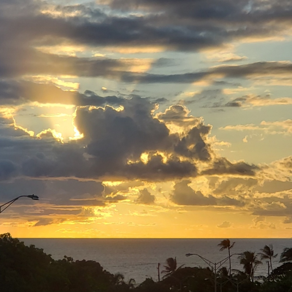 Meet your Posher, Tobie